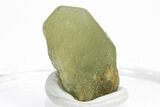 Green Olivine Peridot Crystal - Pakistan #213525-1